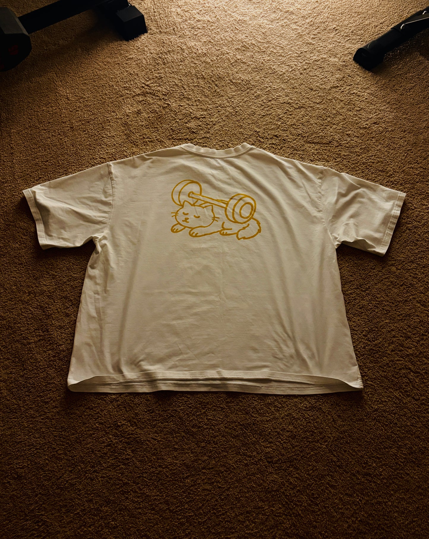 Golden Haze Boxy Shirt